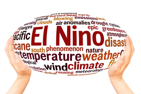 two hands hold word cloud for El Nino with related conditions like temperature, weather, wind, climate