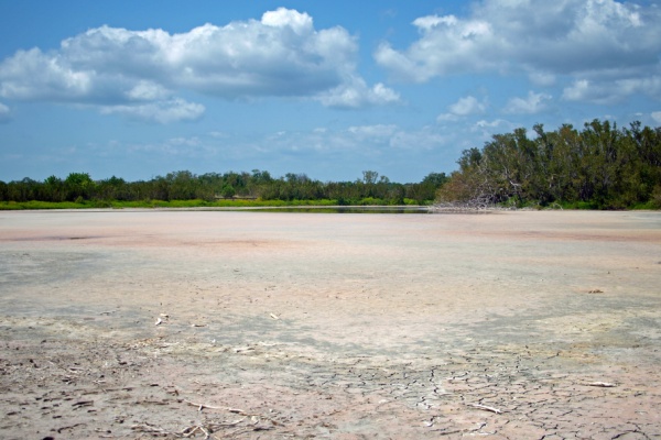 Florida Everglades National park with cracked earth in drought conditions