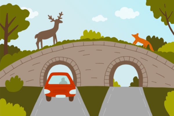 Cartoon of deer and fox crossing over wildlife bridge as cars drive underneath