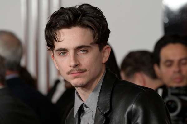 A photo of actor Timothee Chalamet on the red carpet. He is wearing a mustache.